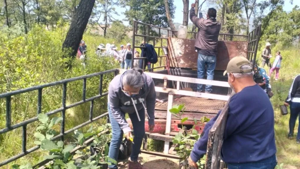 Comité en defensa del parque El Ocotal impulsa campaña de reforestación en Chalco