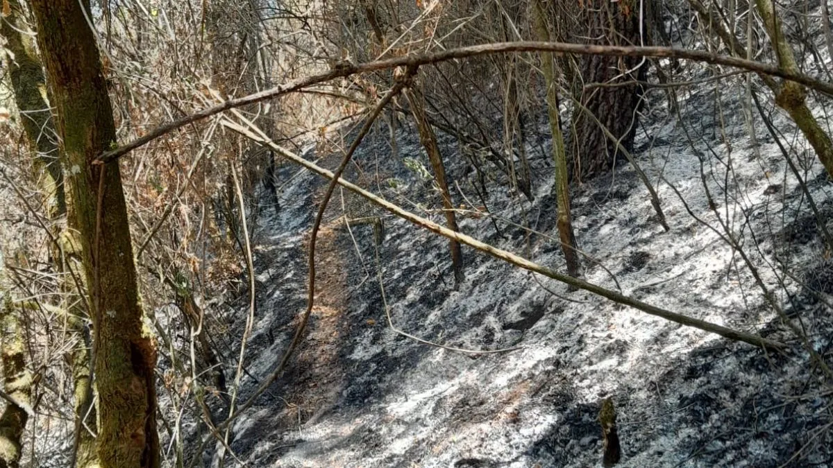 Incendio en Ameyalco persiste, comunidades organizadas piden auxilio