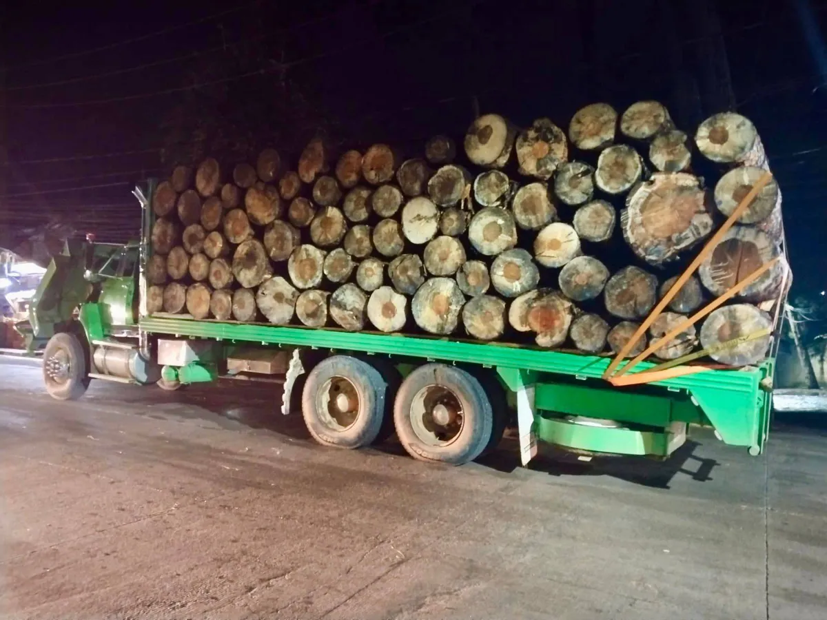 Detenidos presuntos talamontes en Valle de Bravo