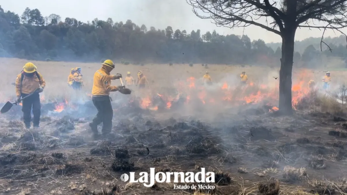 Edomex supera en marzo incendios registrados en enero- febrero