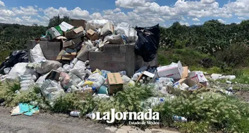 Productores de nopal matan grana cochinilla con insecticida