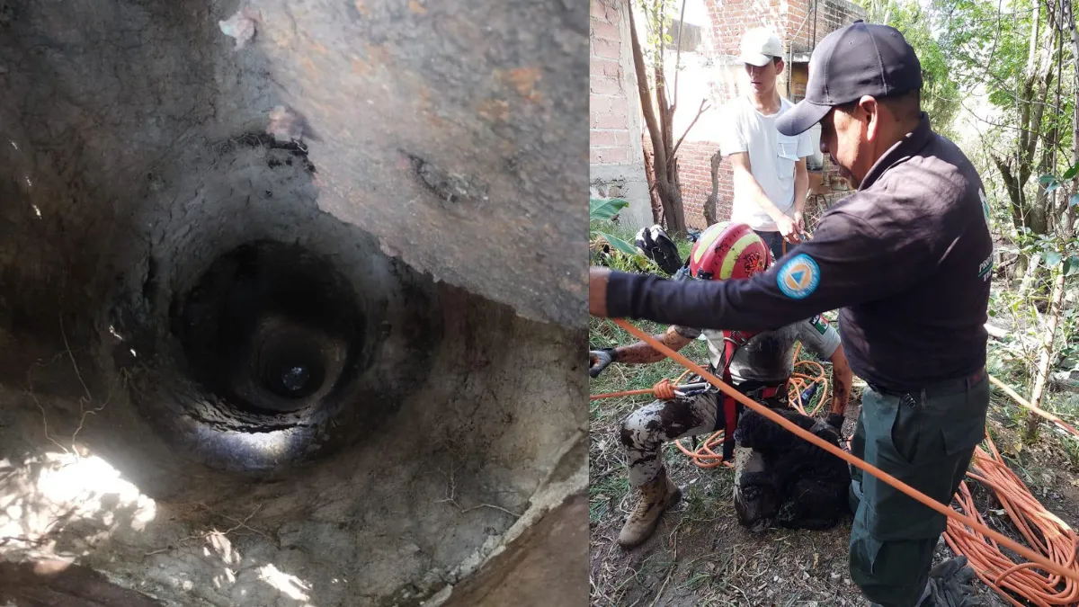 Rescatan a perro de un pozo de 20 metros de profundidad en Tepotzotlán