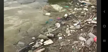 vecinos