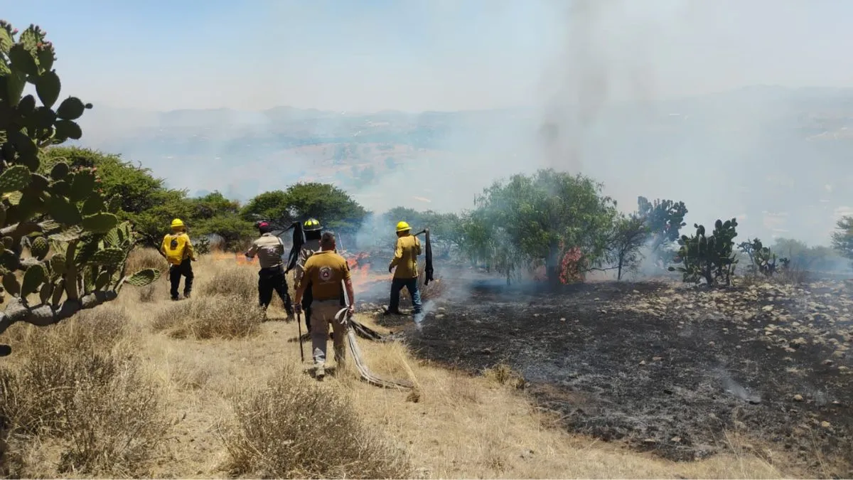 Incendios en Tlalnepantla y Tepotzotlán son controlados por las autoridades
