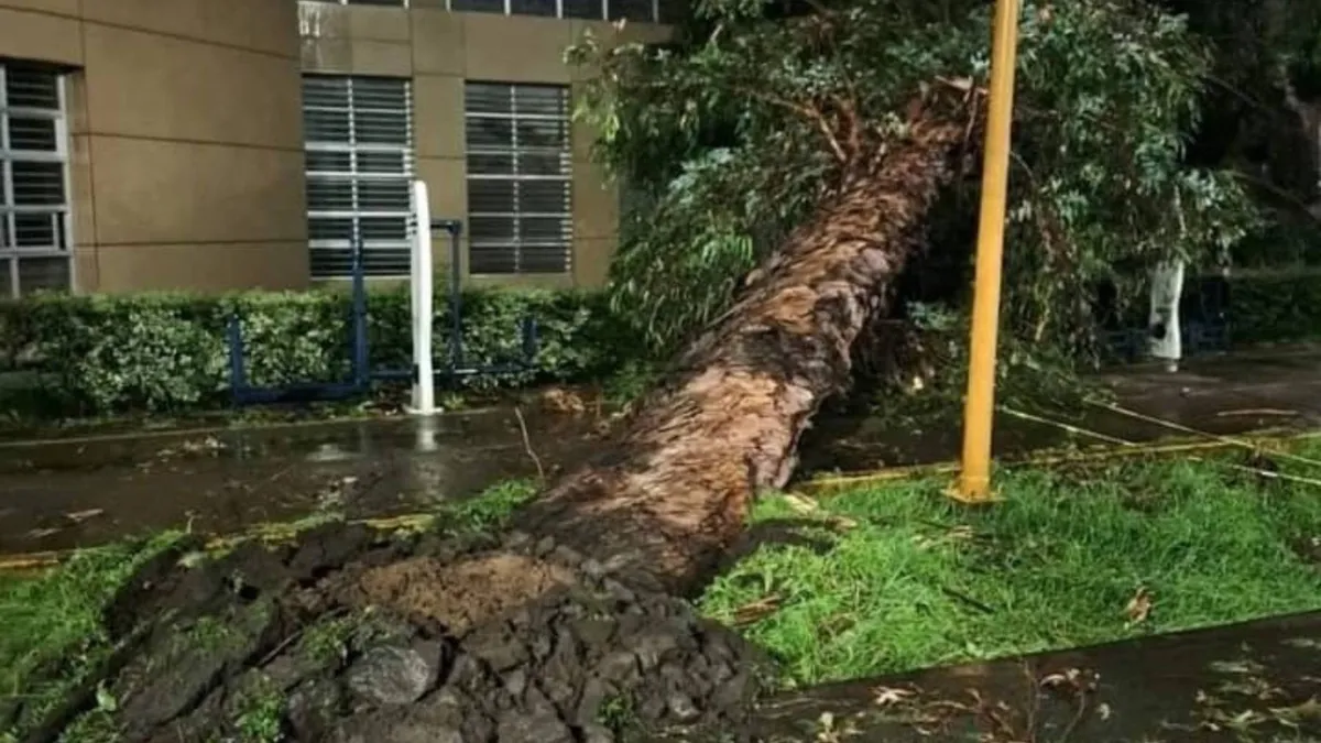 Tormenta en Naucalpan provoca daños en la FES Acatlán