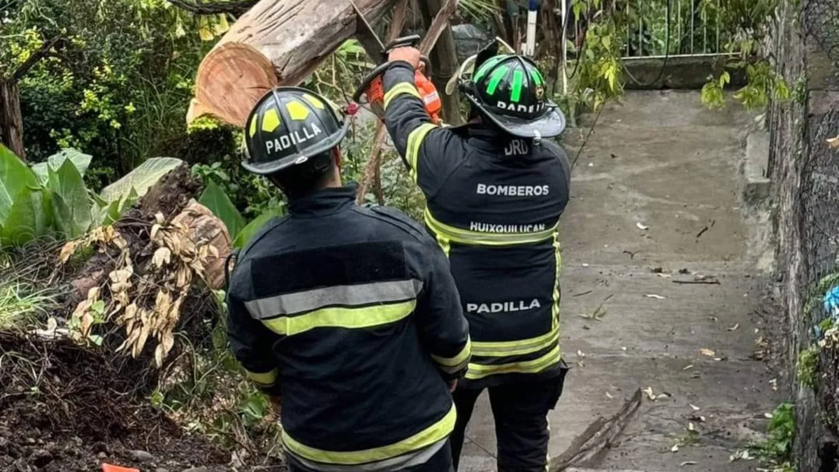 Piden ayuda para salvar el albergue de animales en Nicolás Romero tras inundaciones