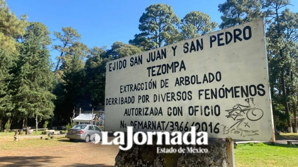 Estudio indica irregularidades en saneamiento forestal en bosque de Chalco