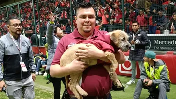 Adopciones serán parte de actividades mundialistas