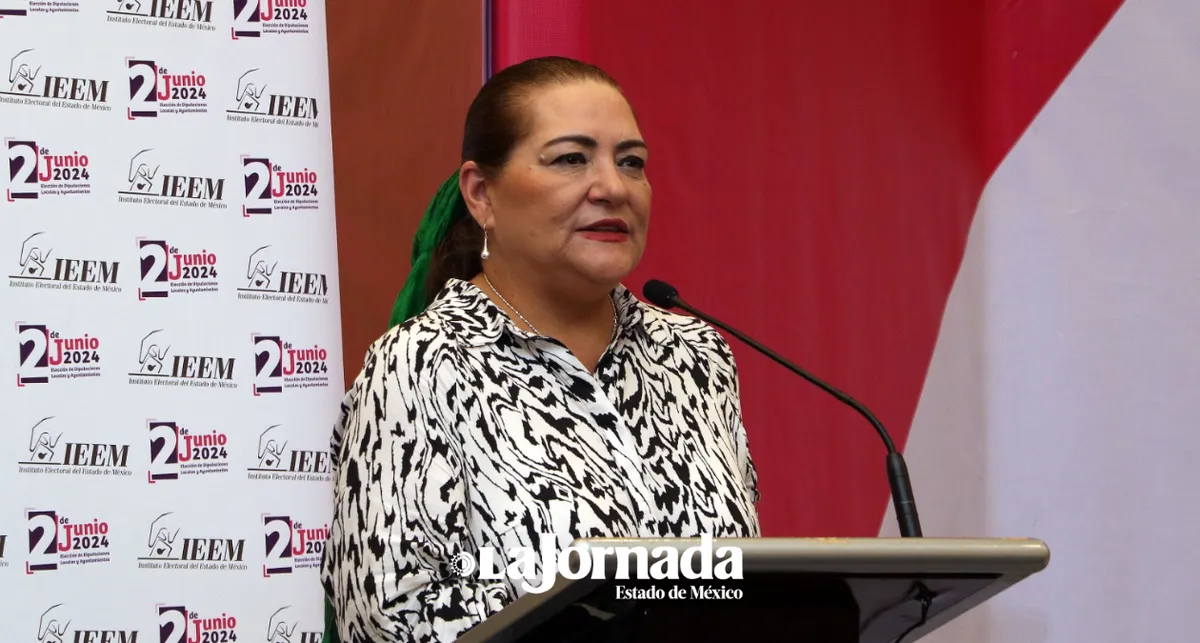 INE busca coordinación para garantizar elecciones 2024: Guadalupe Taddei