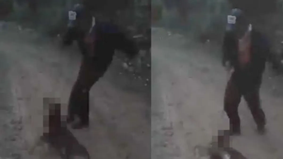 (VIDEO) Patean y arrastran a perrito por diversión