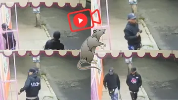Ladrones son captados intentando robar un negocio en Valle de Chalco, ¿y los policías?