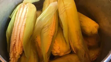 Cocotitlán ya tiene todo listo para la Feria del Elote