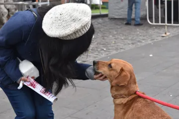 “La Mejor Jugada es Adoptar” suma 23 adopciones de perros en Edomex