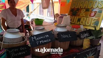 Productores alistan Feria del Maguey en Ixtapaluca