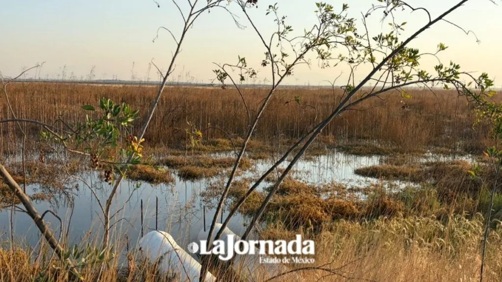 Ecatepec blinda El Caracol para frenar invasiones