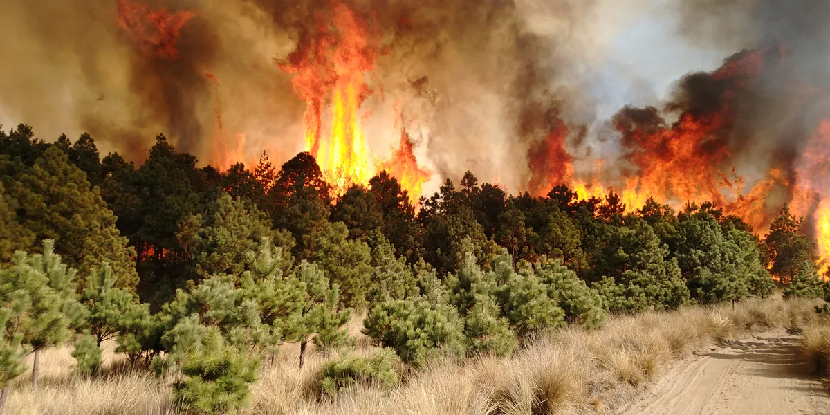 Edomex suma 119 incendios forestales en 2023