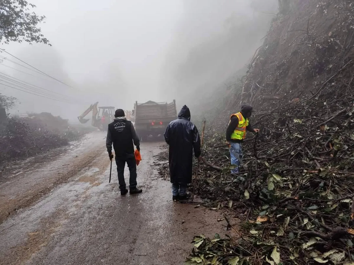 Deforestación y lluvias agravan erosión en Edomex
