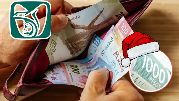 ¿Cuándo será el pago del aguinaldo y qué pensionados del IMSS lo recibirán? Esto sabemos