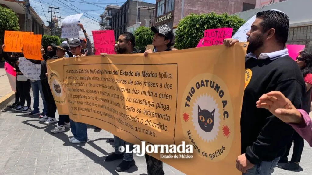 Colectivos protestan en Texcoco por asesinato de perritos Canelo y Rocko