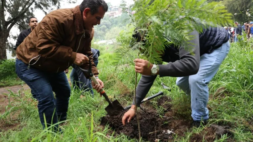 Huixquilucan mantendrá el 65% de su territorio con vocación forestal: Romina Contreras