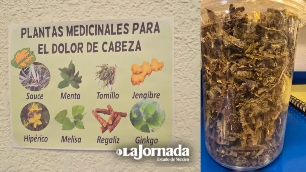 Etnia Náhuatl de Toluca busca certificar su medicina tradicional