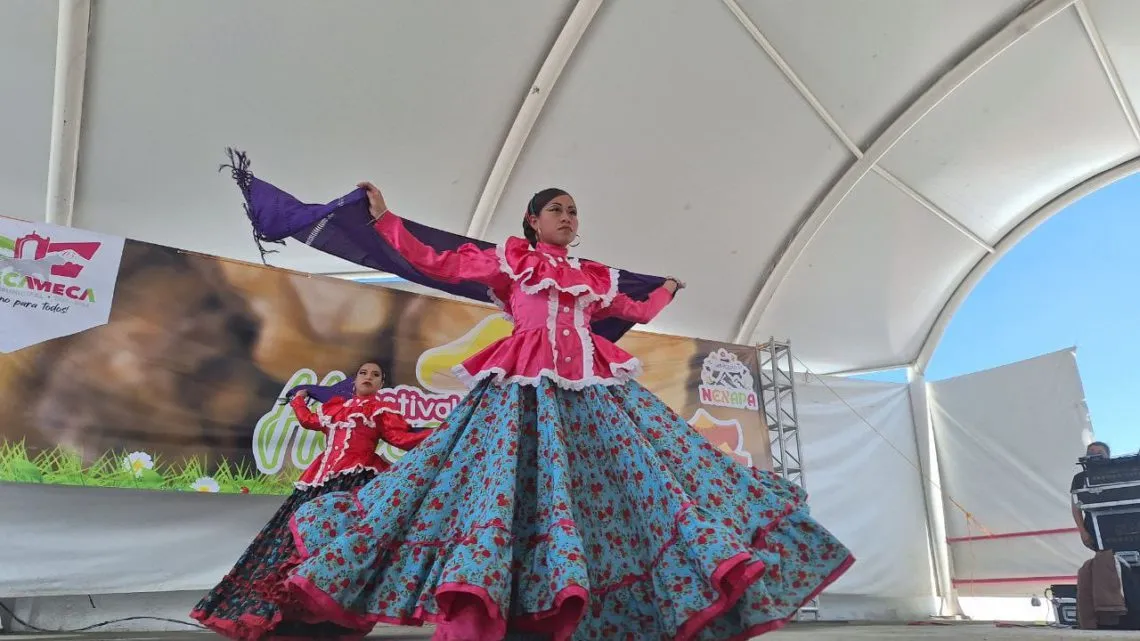 No te pierdas la “Feria del Hongo Silvestre” en Amecameca