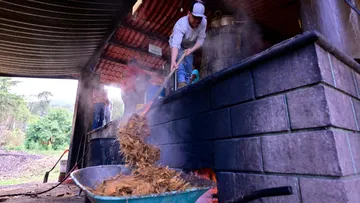 Empresas impactan en empleo informal por modificación de registro de trabajadores en Edomex