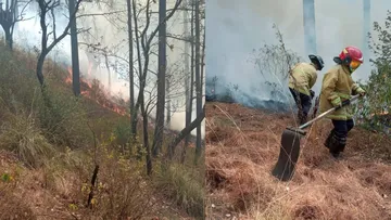 Altas temperaturas y nula educación ambiental provocan incendios forestales: De la Cruz Zetina