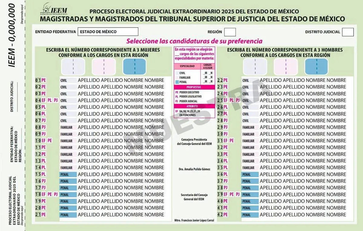 IEEM avala acuerdos para garantizar documentación y material para elección judicial