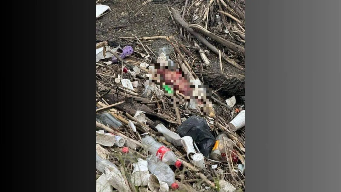 Cuautitlán Izcalli: Localizan pierna humana en la basura