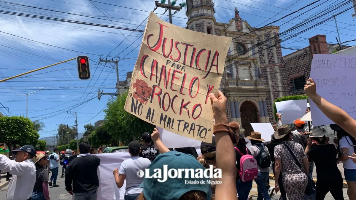 Responsables de la muerte de Canelo y Rocko enfrentarán proceso en libertad: FGJEM