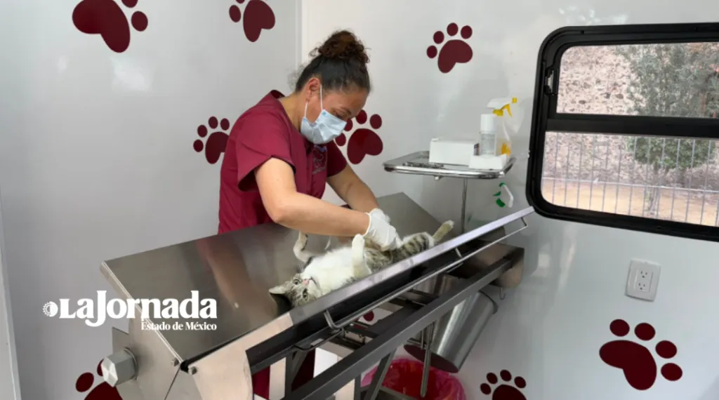 Tecámac estrena quirófano móvil de última generación: 90 cirugías de mascotas al día