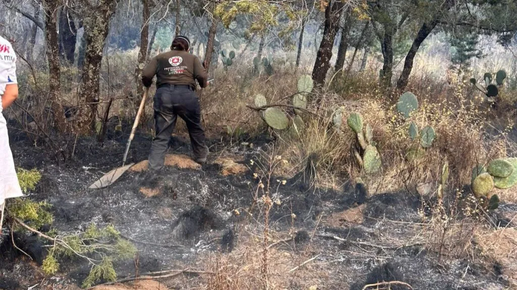 PC Edomex advierte que 9 de cada 10 incendios son provocados