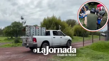 Tigre Kenzo habría llegado herido al centro de conservación