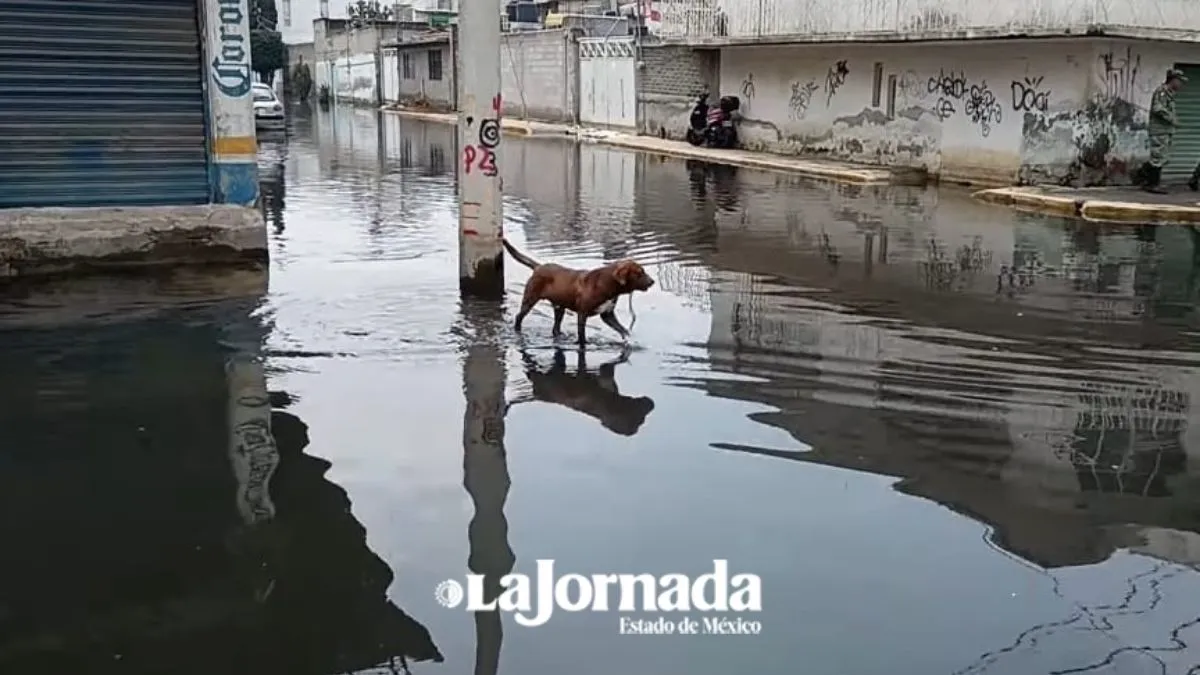 Anegada nuevamente zona cero en Chalco