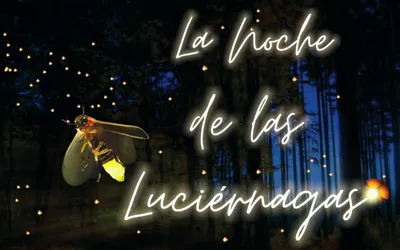 El Parque El Ocotal en Chalco se ilumina cada noche con el brillante cortejo de las luciérnagas durante su temporada de avistamiento.