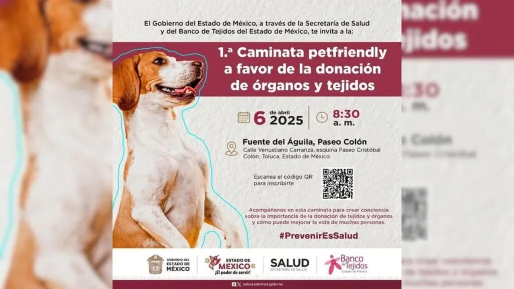 Edomex anuncia caminata petfriendly con causa en Toluca