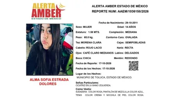 Alerta Amber: Se busca a Alma Sofía Estrada Dolores; desapareció en Toluca
