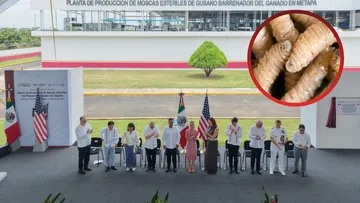 Sheinbaum inaugura planta binacional para combatir el gusano barrenador y fortalecer la ganadería