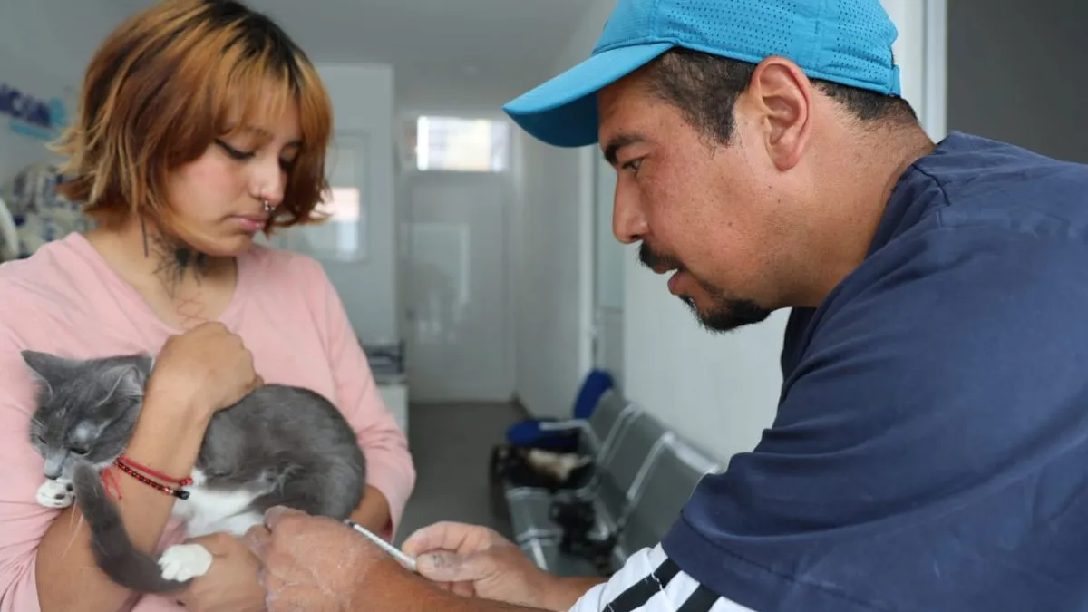 Huixquilucan brinda más de 600 consultas médicas y esterilizaciones gratuitas para mascotas