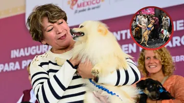 Ley del Bienestar Animal Edomex: estos son los 10 puntos de cómo se protegen a perros y gatos