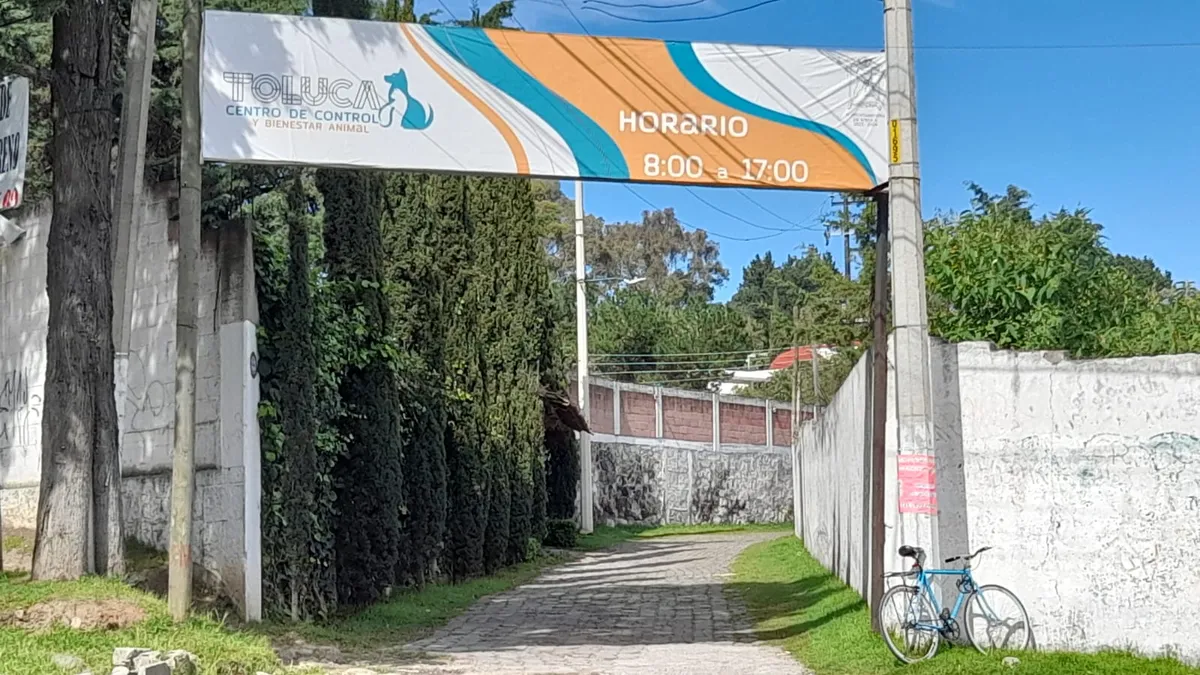 Destituyen a personal del Centro de Control y Bienestar Animal de Toluca
