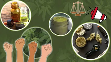Usuarios de cannabis marcharán en Toluca para exigir legalización de la planta