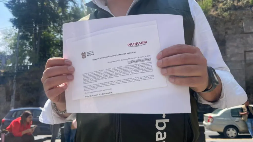 Denuncian envenenamiento de cacomixtles en Toluca