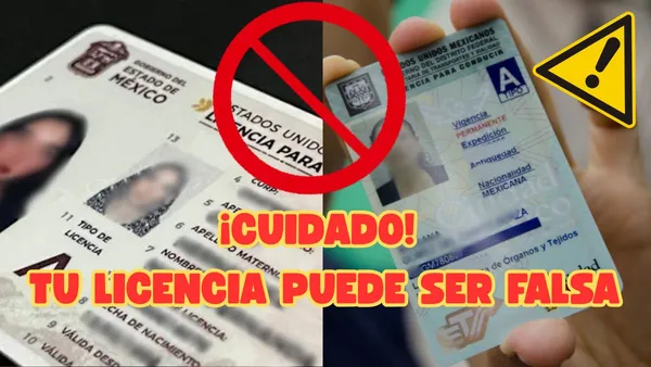 ¿Licencias de conducir falsas? Así puedes identificarlas y evitar la prisión