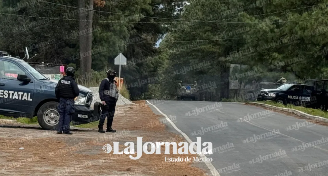 Texcaltitlán: Campesinos recogen cosecha, ahora alimentan a fuerzas federales