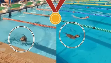 Perrito participa en competencia de natación en una escuela y gana corazones [VIDEO]