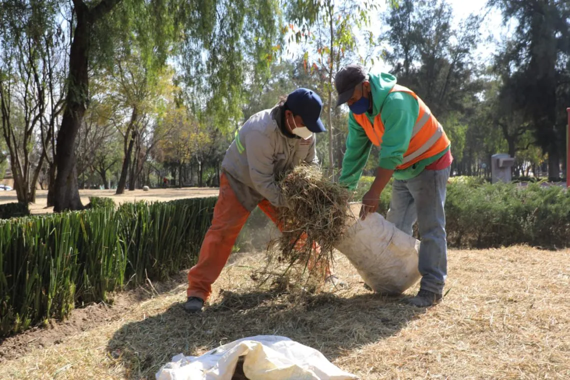 Naucalpan recolecta más de 30 mil 557 toneladas de basura mejorando el servicio