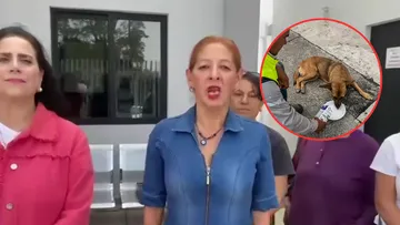 Señalaron que la falta de insumos limita la atención en la Unidad Municipal de Protección Animal ante la creciente problemática de perros y gatos en situación de calle.