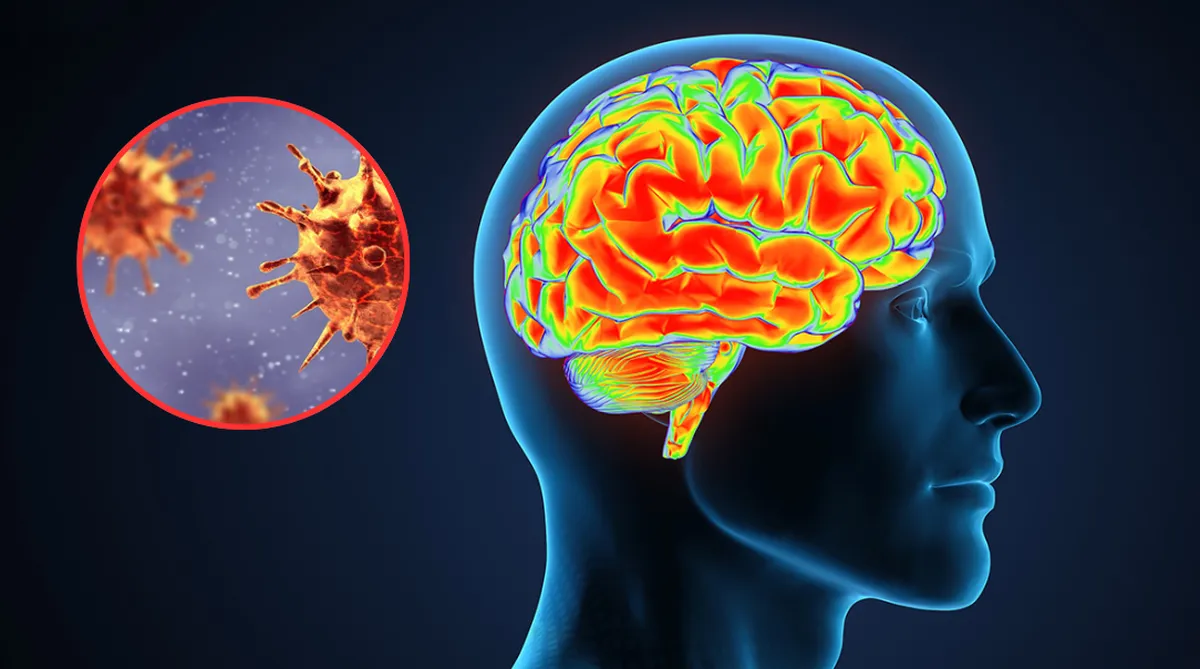 Descubren bacteria que “roba” la memoria: El nuevo hallazgo de la revista Nature